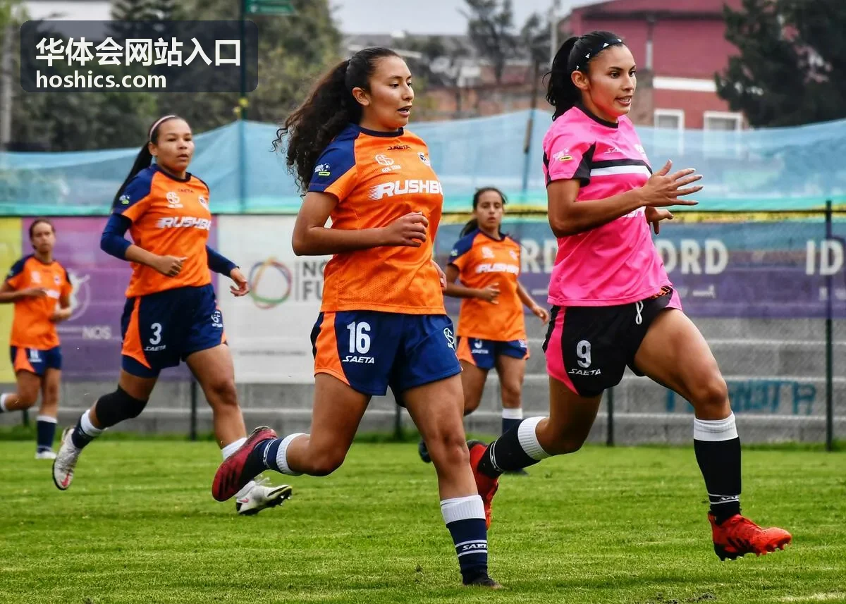 华体会网站入口首次访问的完整确认流程示意图