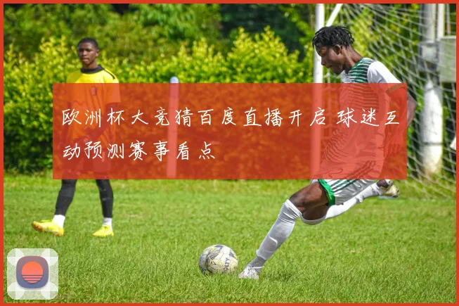 欧洲杯大竞猜百度直播开启 球迷互动预测赛事看点