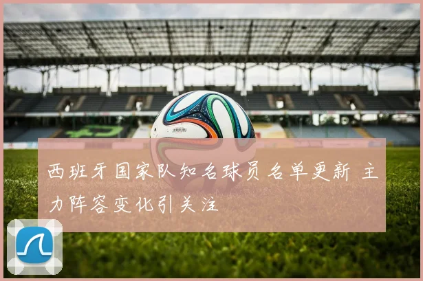 西班牙国家队知名球员名单更新 主力阵容变化引关注