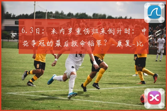 6.3日：米内罗重伤归来倒计时：申花争冠的最后救命稻草？_康复_比赛_训练