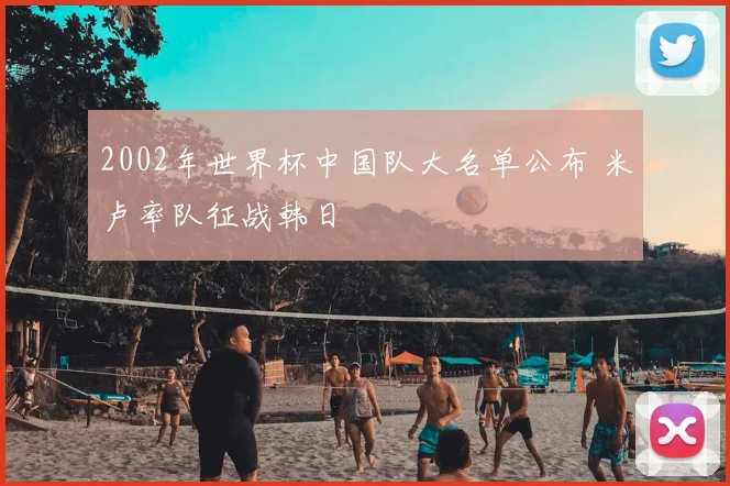 2002年世界杯中国队大名单公布 米卢率队征战韩日